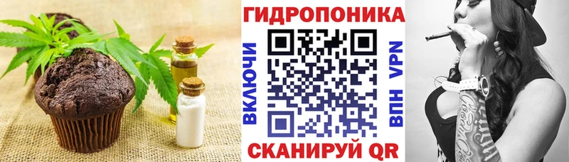 как найти закладки  Кудрово  Cannafood марихуана 