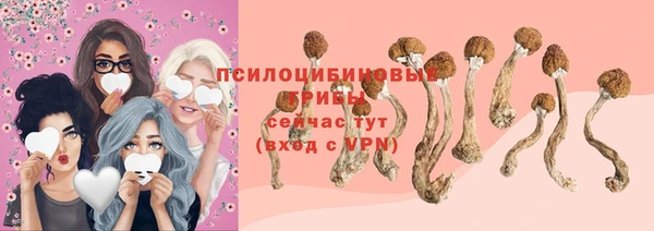 бошки Алзамай