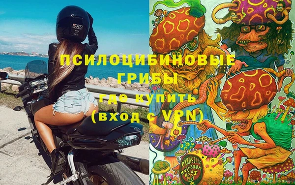 СК Алексин