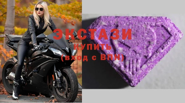 СК Алексин