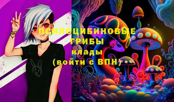 бошки Алзамай
